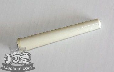 柯基怎么断尾 柯基犬断尾教程7
